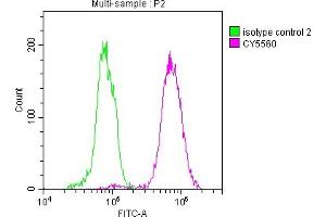 Overlay histogram showing Hela cells stained with ABIN7127352 (red line) at 1:50. (Recombinant ACLY anticorps)