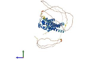 AlphaFold protein structure predicition of Mouse Recombinant Tom1l1 Protein, UniprotID Q923U0