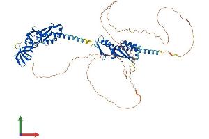 AlphaFold protein structure predicition of Human Recombinant FMR1 Protein, UniprotID Q06787