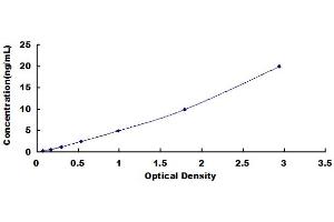 Typical Standard Curve (PFKM Kit ELISA)