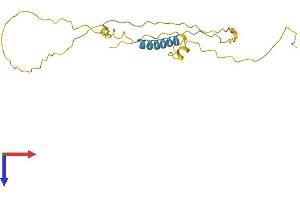 AlphaFold protein structure predicition of Mouse Recombinant Tceal5 Protein, UniprotID Q8CCT4