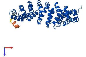 AlphaFold protein structure predicition of Human Recombinant RSPH14 Protein, UniprotID Q9UHP6