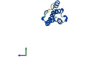 AlphaFold protein structure predicition of Human Recombinant PLAC8 Protein, UniprotID Q9NZF1