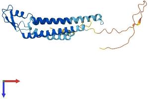 AlphaFold protein structure predicition of Mouse Recombinant Gjb4 Protein, UniprotID Q02738