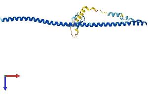 AlphaFold protein structure predicition of Human Recombinant ZC4H2 Protein, UniprotID Q9NQZ6