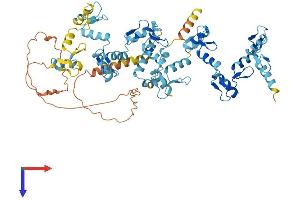 AlphaFold protein structure predicition of Human Recombinant ZNF699 Protein, UniprotID Q32M78
