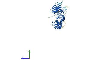 AlphaFold protein structure predicition of Mouse Recombinant Trim35 Protein, UniprotID Q8C006