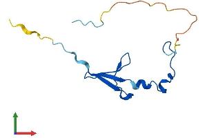 AlphaFold protein structure predicition of Human Recombinant EIF4EBP2 Protein, UniprotID Q13542