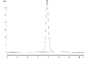 The purity of Biotinylated Human LILRA5 is greater than 95 % as determined by SEC-HPLC.
