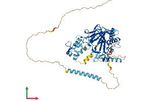 AlphaFold protein structure predicition of Mouse Recombinant P4htm Protein, UniprotID Q8BG58