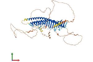 AlphaFold protein structure predicition of Mouse Recombinant Jph4 Protein, UniprotID Q80WT0