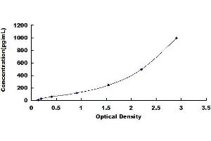 Typical standard curve (L1CAM Kit ELISA)