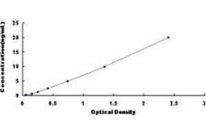 Typical standard curve (TMOD3 Kit ELISA)