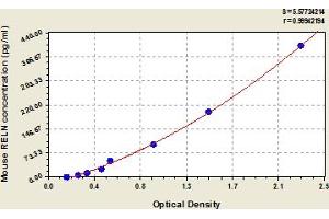 Typical Standard Curve (Reelin Kit ELISA)