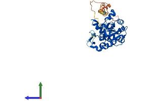 AlphaFold protein structure predicition of Human Recombinant HS3ST6 Protein, UniprotID Q96QI5