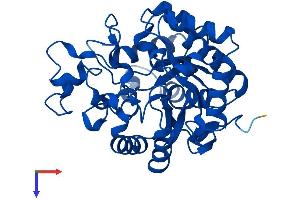 AlphaFold protein structure predicition of Human Recombinant PTER Protein, UniprotID Q96BW5