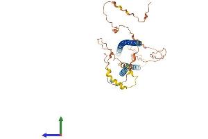 AlphaFold protein structure predicition of Human Recombinant CCDC188 Protein, UniprotID H7C350 (CCDC188 (AA 1-402) protein (His tag))