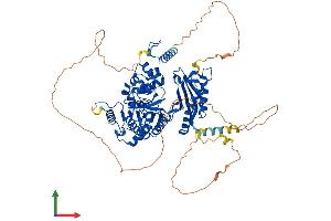 AlphaFold protein structure predicition of Human Recombinant POLH Protein, UniprotID Q9Y253