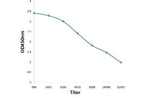 Antigen: 0. (MAS1L anticorps  (AA 201-300))