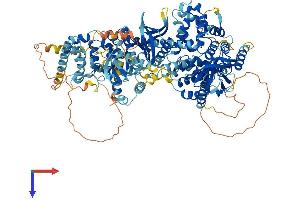 AlphaFold protein structure predicition of Human Recombinant TBC1D8 Protein, UniprotID O95759
