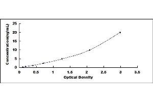 Typical standard curve (SDHA Kit ELISA)