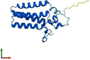 AlphaFold protein structure predicition of Human Recombinant ORMDL2 Protein, UniprotID Q53FV1
