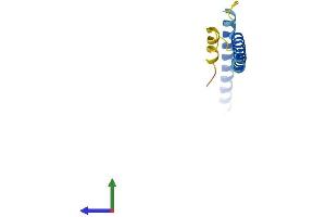 AlphaFold protein structure predicition of Mouse Recombinant Ska2 Protein, UniprotID Q9CR46