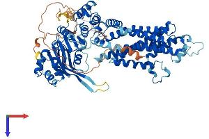 AlphaFold protein structure predicition of Human Recombinant ABCG1 Protein, UniprotID P45844