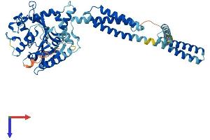 AlphaFold protein structure predicition of Mouse Recombinant Atl3 Protein, UniprotID Q91YH5