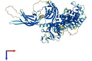 AlphaFold protein structure predicition of Human Recombinant RASA3 Protein, UniprotID Q14644