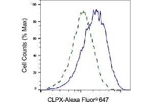 Validation of CLPX knockdown using flow cytometry. (Recombinant CLPX anticorps)