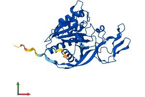 AlphaFold protein structure predicition of Human Recombinant ACY3 Protein, UniprotID Q96HD9