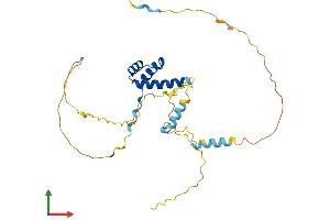 AlphaFold protein structure predicition of Human Recombinant BARX2 Protein, UniprotID Q9UMQ3