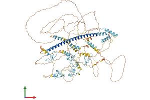 AlphaFold protein structure predicition of Human Recombinant ST18 Protein, UniprotID O60284