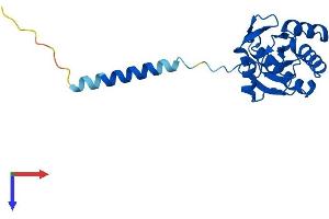 AlphaFold protein structure predicition of Human Recombinant GPX8 Protein, UniprotID Q8TED1