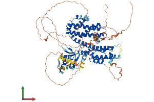 AlphaFold protein structure predicition of Human Recombinant RFX2 Protein, UniprotID P48378