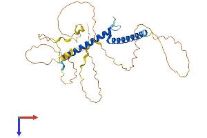 AlphaFold protein structure predicition of Human Recombinant OLIG2 Protein, UniprotID Q13516