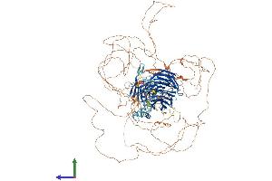 AlphaFold protein structure predicition of Human Recombinant TULP4 Protein, UniprotID Q9NRJ4