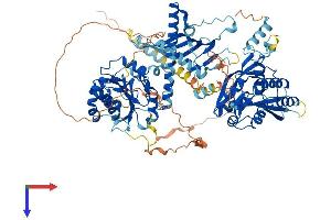 AlphaFold protein structure predicition of Human Recombinant CHSY3 Protein, UniprotID Q70JA7