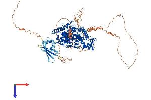 AlphaFold protein structure predicition of Human Recombinant TBC1D25 Protein, UniprotID Q3MII6