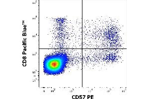 Flow cytometry multicolor surface staining of human lymphocytes stained using anti-human CD57 (TB01) PE antibody (10 μL reagent / 100 μL of peripheral whole blood) and anti-human CD8 (MEM-31) Pacific Blue antibody (4 μL reagent / 100 μL of peripheral whole blood).