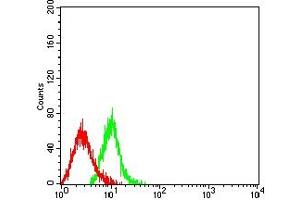 Flow cytometric analysis of HL-60 cells using CD208 mouse mAb (green) and negative control (red).