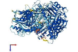 AlphaFold protein structure predicition of Mouse Recombinant Oplah Protein, UniprotID Q8K010