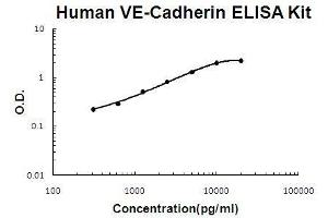 Human VE-Cadherin/CD144 PicoKine ELISA Kit standard curve (Cadherin 5 Kit ELISA)