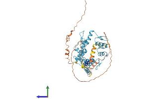 AlphaFold protein structure predicition of Human Recombinant ZSCAN9 Protein, UniprotID O15535