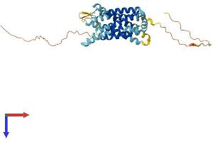 AlphaFold protein structure predicition of Mouse Recombinant Ccrl2 Protein, UniprotID O35457