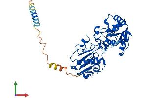 AlphaFold protein structure predicition of Mouse Recombinant Fut9 Protein, UniprotID O88819
