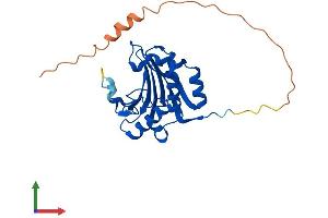 AlphaFold protein structure predicition of Human Recombinant EIF4E1B Protein, UniprotID A6NMX2