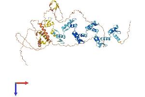 AlphaFold protein structure predicition of Human Recombinant ZNF175 Protein, UniprotID Q9Y473