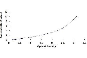 Typical standard curve (XCL2 Kit ELISA)
